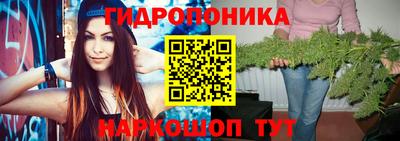 круглые Аргун