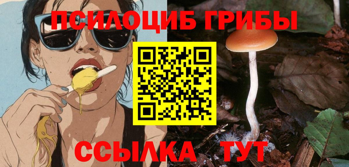 Галлюциногенные грибы Cubensis  Вход с VPN  Галлюциногенные грибы мухоморы  Ахтубинск 
